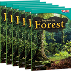 Step into the Forest 6-Pack