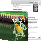 Animal Architects 6-Pack