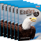 Eagles Up Close 6-Pack