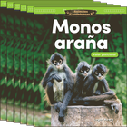 Animales asombrosos: Monos araña: Valor posicional 6-Pack
