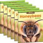 Amazing Animals: Honeybees: Place Value 6-Pack