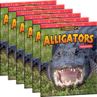 Amazing Animals: Alligators: Multiplication 6-Pack